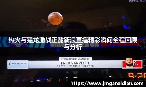 热火与猛龙激战正酣新浪直播精彩瞬间全程回顾与分析